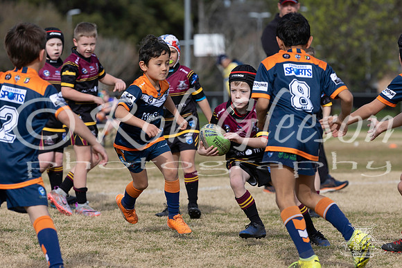 U8(3) R10 - Vs Tigers_005