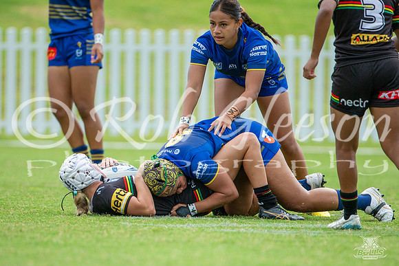 LFC - R6 - Eels v Panthers_6