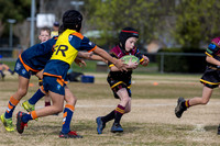 U8(3) R10 - Vs Tigers_004
