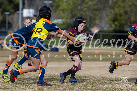 U8(3) R10 - Vs Tigers_004