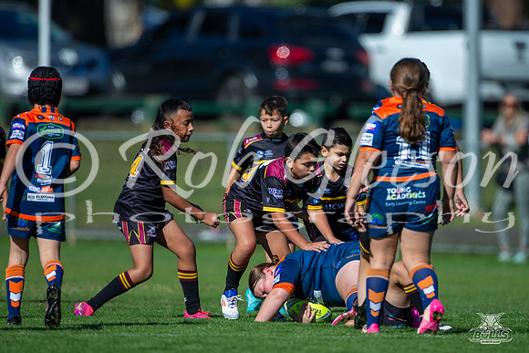 U10(1) R4 v Tigers_1
