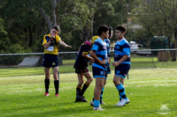 U12(2) - Cooks Plumbing
