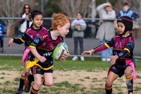 U6(4) R12 - Vs Hills_006