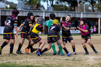 U9(3) R12 - Vs Canley Vale_011