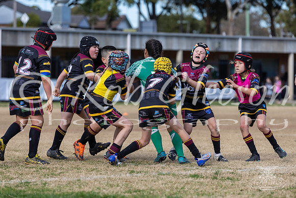 U9(3) R12 - Vs Canley Vale_011