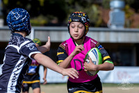 U9(1) R12 - Vs Wenty_013