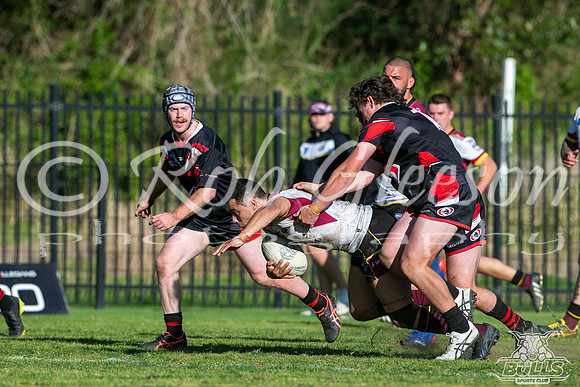 PC SF - Hills v Collegians_068