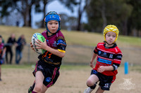 U7(4) - R13 - Vs Kellyville_013