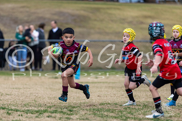 U7(4) - R13 - Vs Kellyville_019