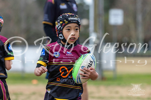 U7(4) - R13 - Vs Kellyville_041