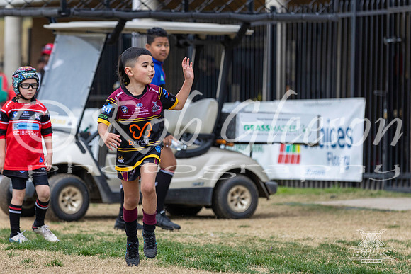 U7(4) - R13 - Vs Kellyville_046