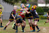 U8(2) - R13 - Vs Kellyville_005