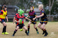 U8(2) - R13 - Vs Kellyville_012