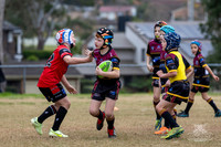 U8(2) - R13 - Vs Kellyville_016
