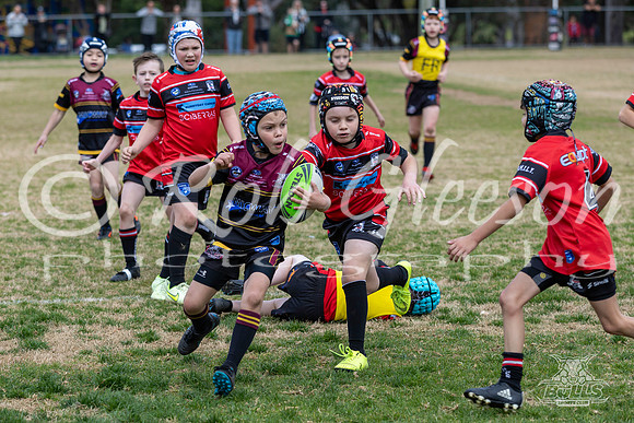U8(2) - R13 - Vs Kellyville_031