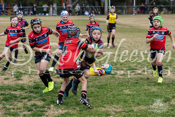 U8(2) - R13 - Vs Kellyville_032