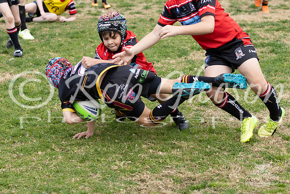 U8(2) - R13 - Vs Kellyville_033