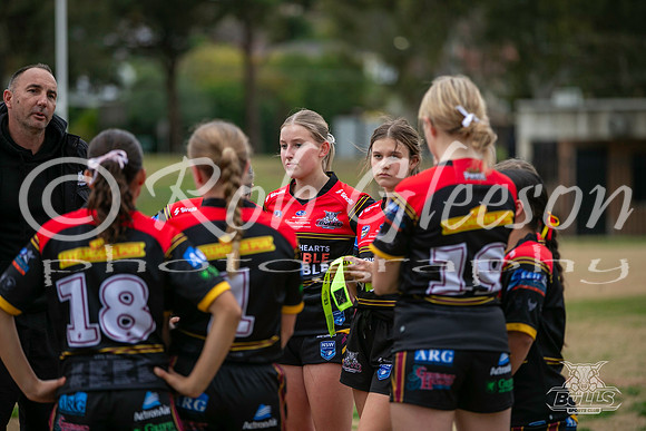 U16(Tag) R13 - Vs Cougars_038