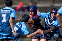 U14(2) - Young Plumbing