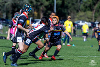 U9(3) R5 v Kellyville_22