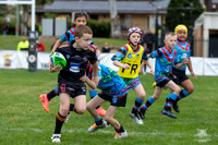 U8(2) - R4 CH Dragons_5