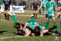 U12(3) R13 v Canley Vale_11
