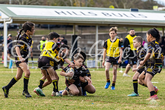 U9(1) R11 v Mounties_4