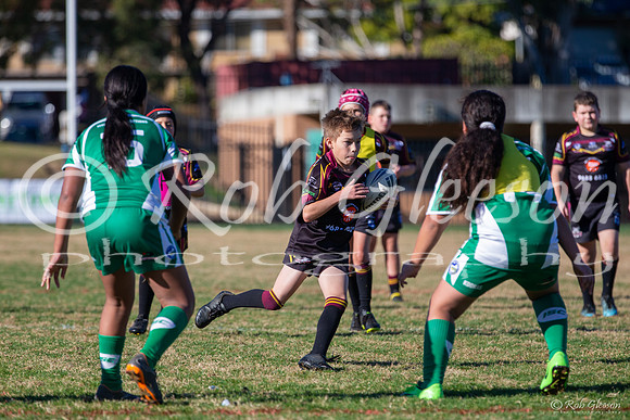 U11(3) - R8 - Vs Canley Vale_059