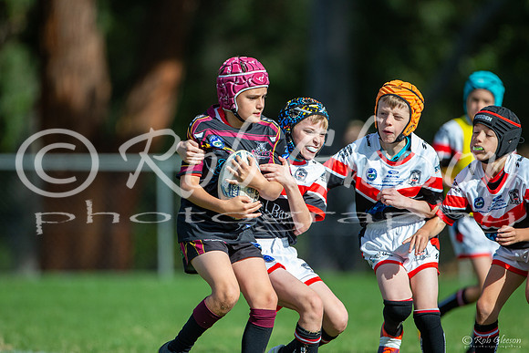 U11(3) - R5 - Vs Kellyville_042