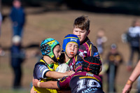 U11(1) - R8 - Vs Rouse Hill_063