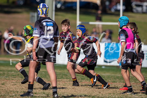 U11(1) - R8 - Vs Rouse Hill_062