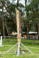 RFS - NB District Exercise - 2024_11