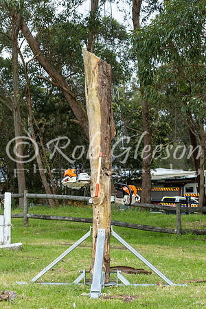 RFS - NB District Exercise - 2024_11