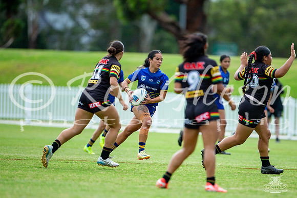 LFC - R6 - Eels v Panthers_4