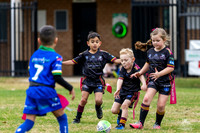 U6(1) - Young Plumbing