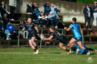 RMC - R12 - Hills v Brothers_4