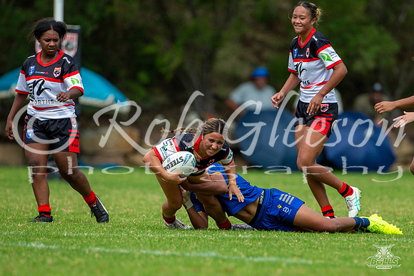 LFC - R2 - Bears v Eels_32