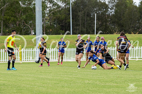 LFC - R6 - Eels v Panthers_71