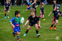 U6(3) - R5 v Titans_8