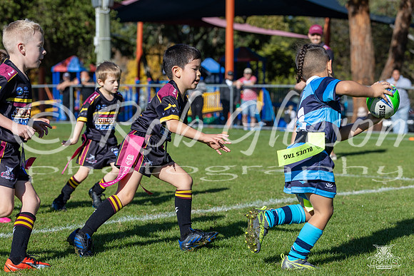 U6(4) R4 v Cabra_5