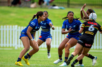 LFC - R6 - Eels v Panthers_5