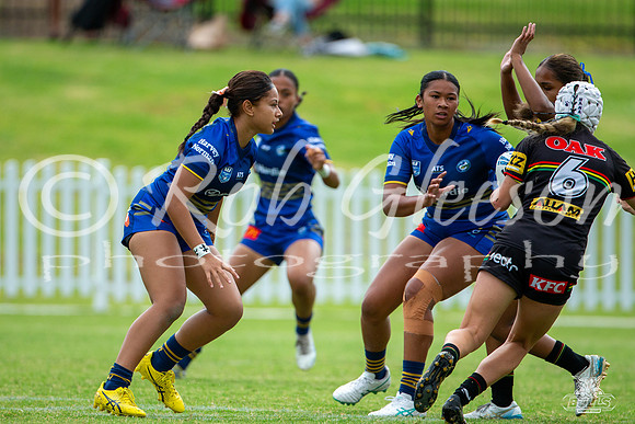 LFC - R6 - Eels v Panthers_5
