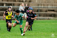 U10(3) - R4 Canley Vale_11