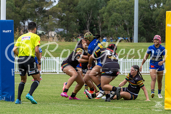 LFC - R6 - Eels v Panthers_65