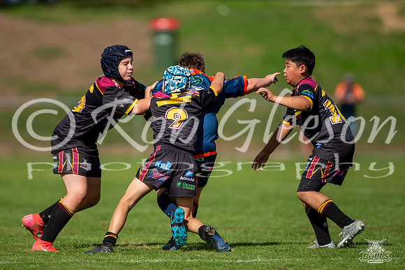 U13(3) R4 v Tigers_2