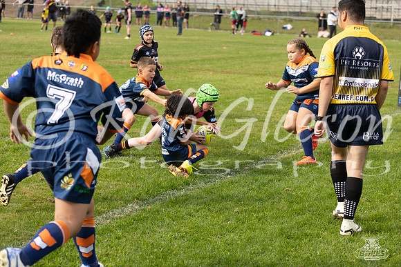 U9(3) - R5 v AST Tigers_10