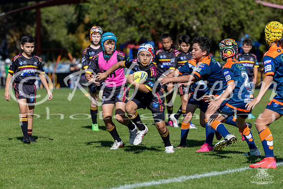 U10(1) R4 v Tigers_23