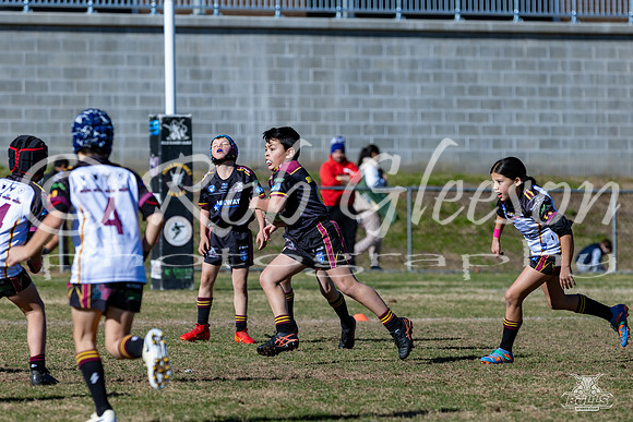 U9(2) R13 v Hills 9(3)_11