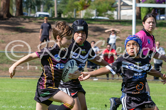 20190406_Under 8 (2) Vs Wenty - R1_031