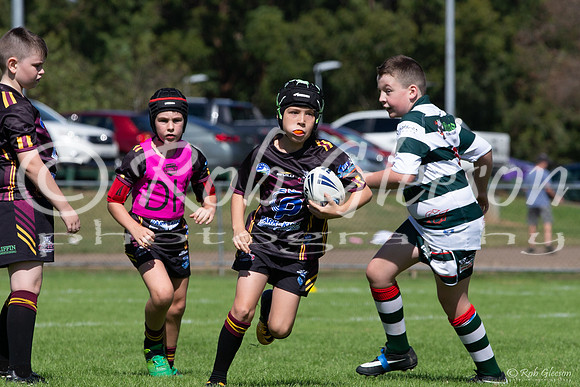20190406_Under 9 (3) Vs Greystanes - R1_008